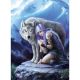 Anne Stokes Collection - Protector 1000 db-os puzzle - Clementoni